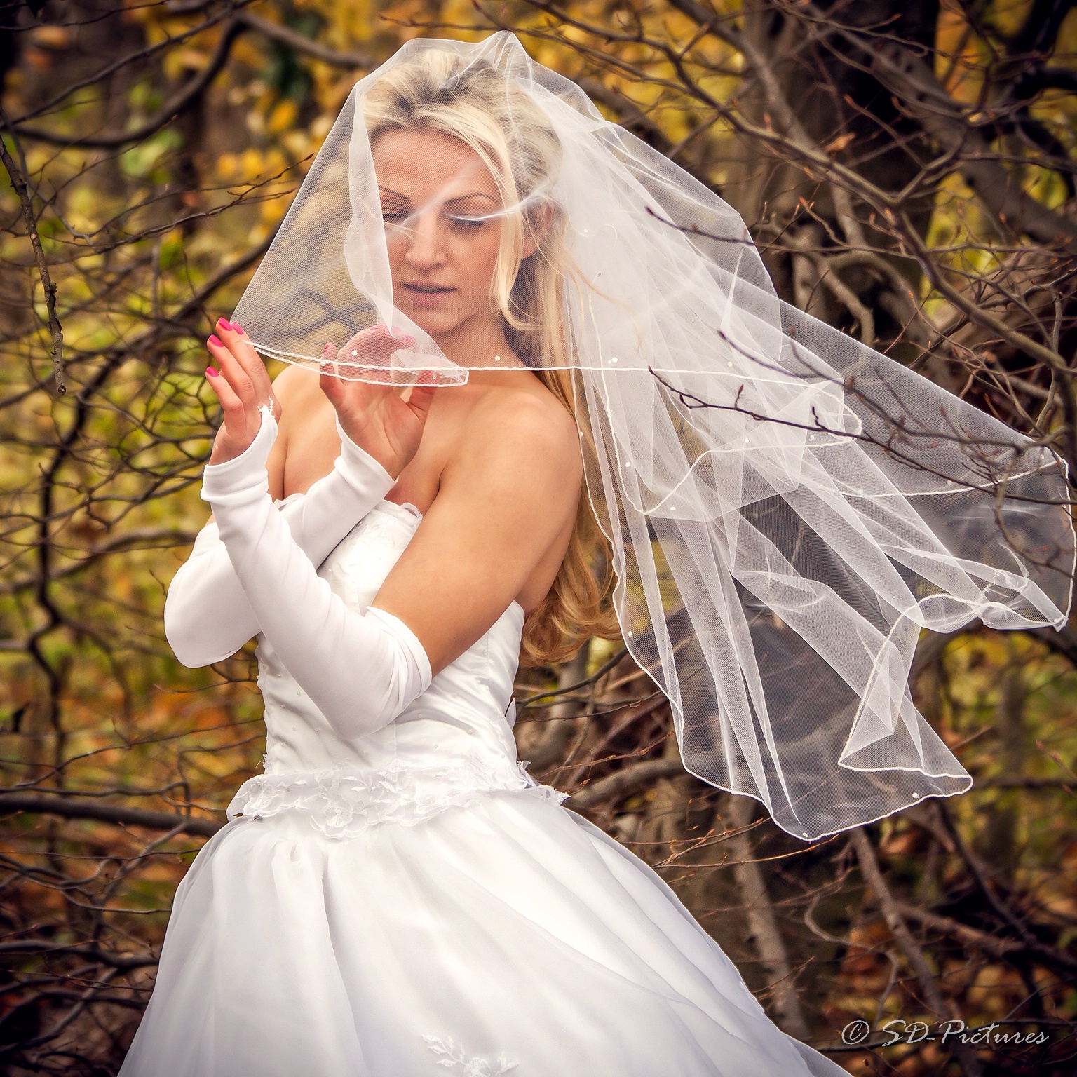 WEB IMG 6302 als Smartobjekt 1 Kopie